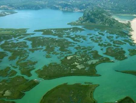 Iztuzu Strand